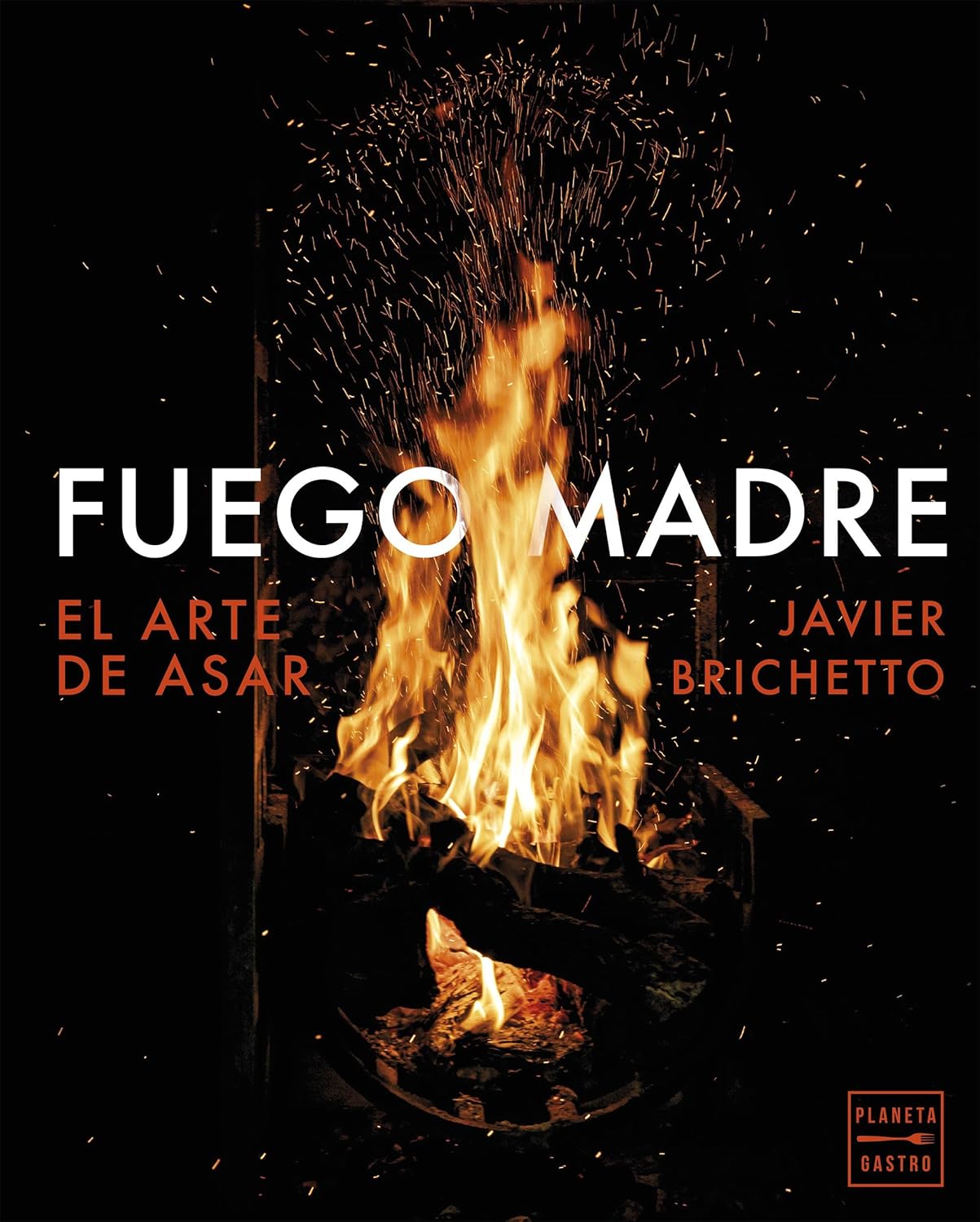 Portada del libro Fuego madre de Javier Brichetto